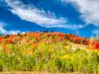 USA-Utah-Logan Pass Colorful autumn in Provo Pass Art Print